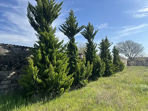 Satılır torpaq sahəsi 25 m²