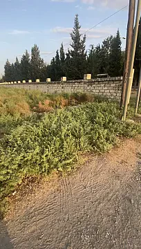 Satılır torpaq sahəsi 10 m² — Mingəçevir 10.00 m²