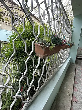 Kirayə verilir 4 otaqlı həyət evi 90 m² — Bakı, Novxanı 4 otaq 90.00 m²