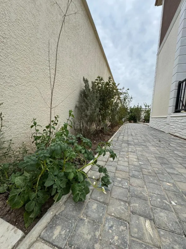 Satılır 5 otaqlı həyət evi 200 m²