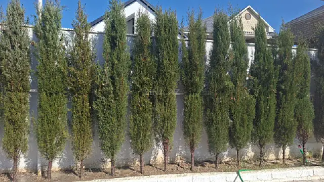 Satılır 4 otaqlı həyət evi 125 m²