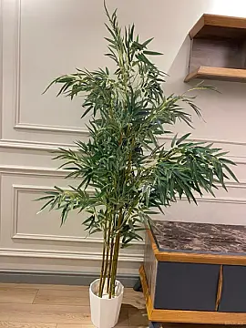 Kirayə verilir 3 otaqlı mənzil 100 m²