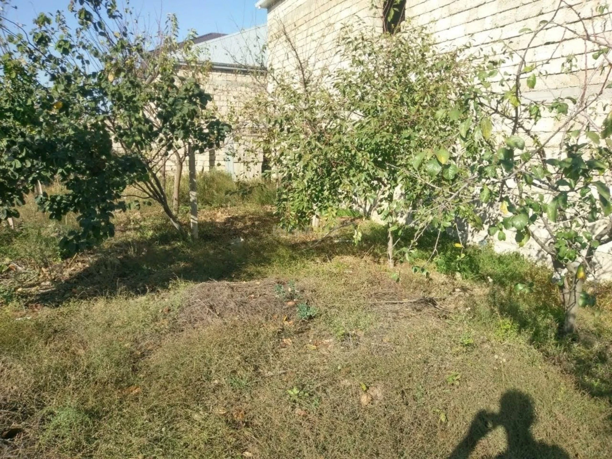 Satılır 8 otaqlı həyət evi 350 m²