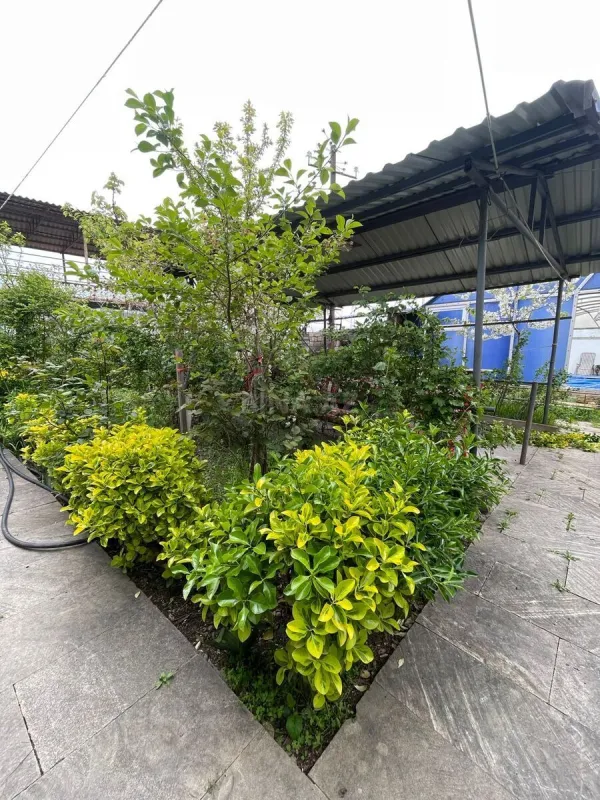 Kirayə verilir 5 otaqlı həyət evi 200 m²