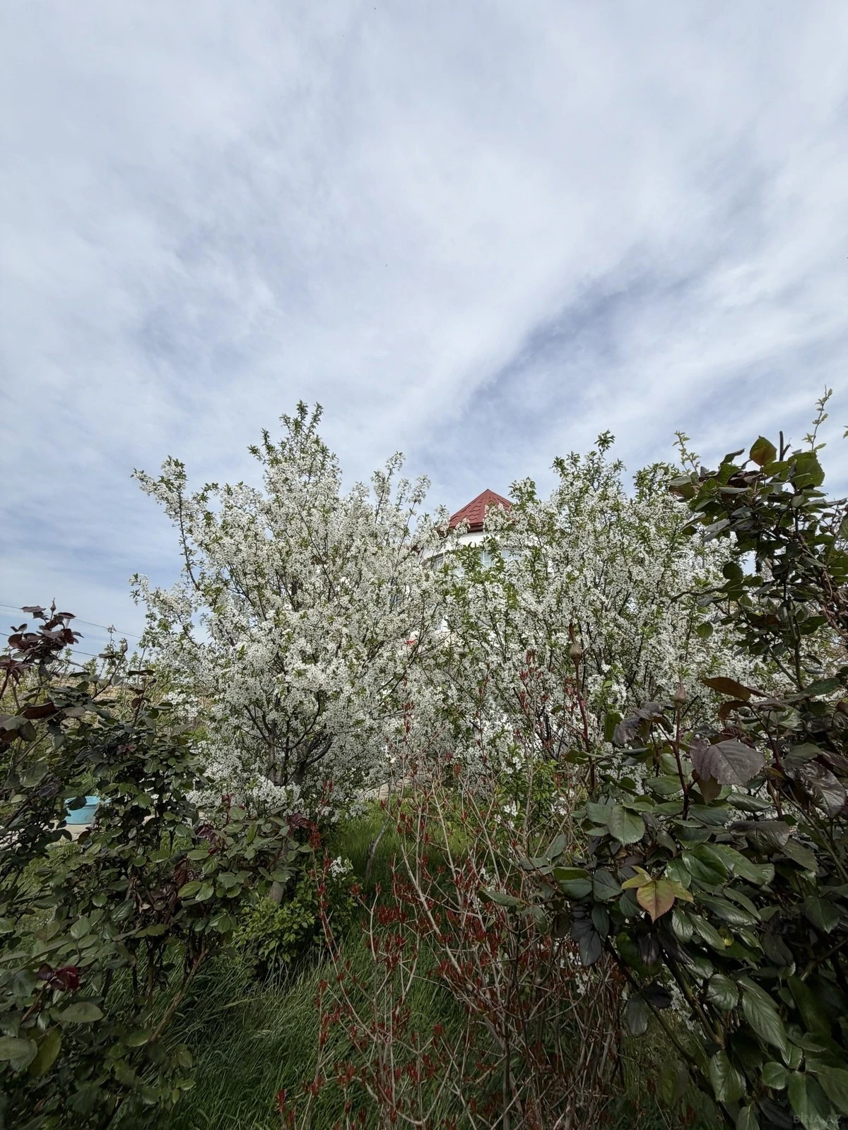 Satılır 5 otaqlı həyət evi 185 m²