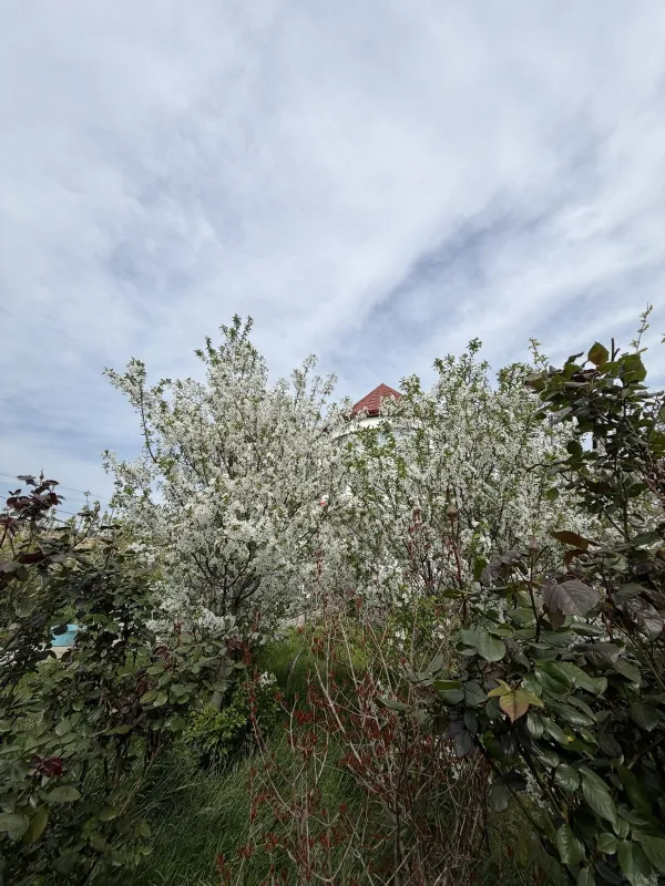 Satılır 5 otaqlı həyət evi 185 m²