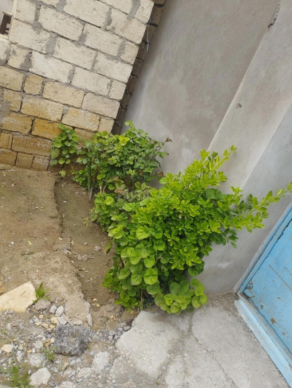 Satılır torpaq sahəsi 2.2 m²