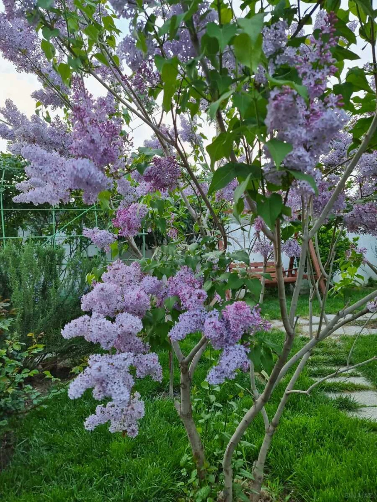 Satılır 5 otaqlı həyət evi 226 m²