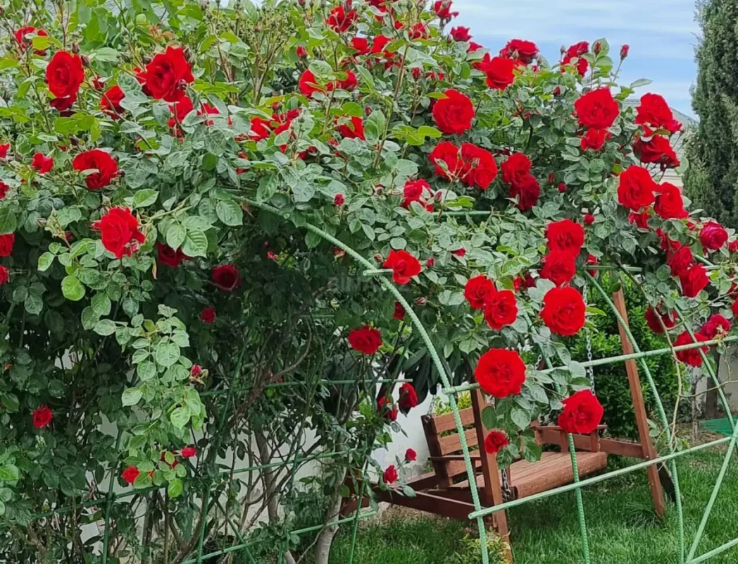 Satılır 5 otaqlı həyət evi 226 m²