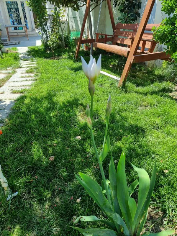 Satılır 5 otaqlı həyət evi 226 m²