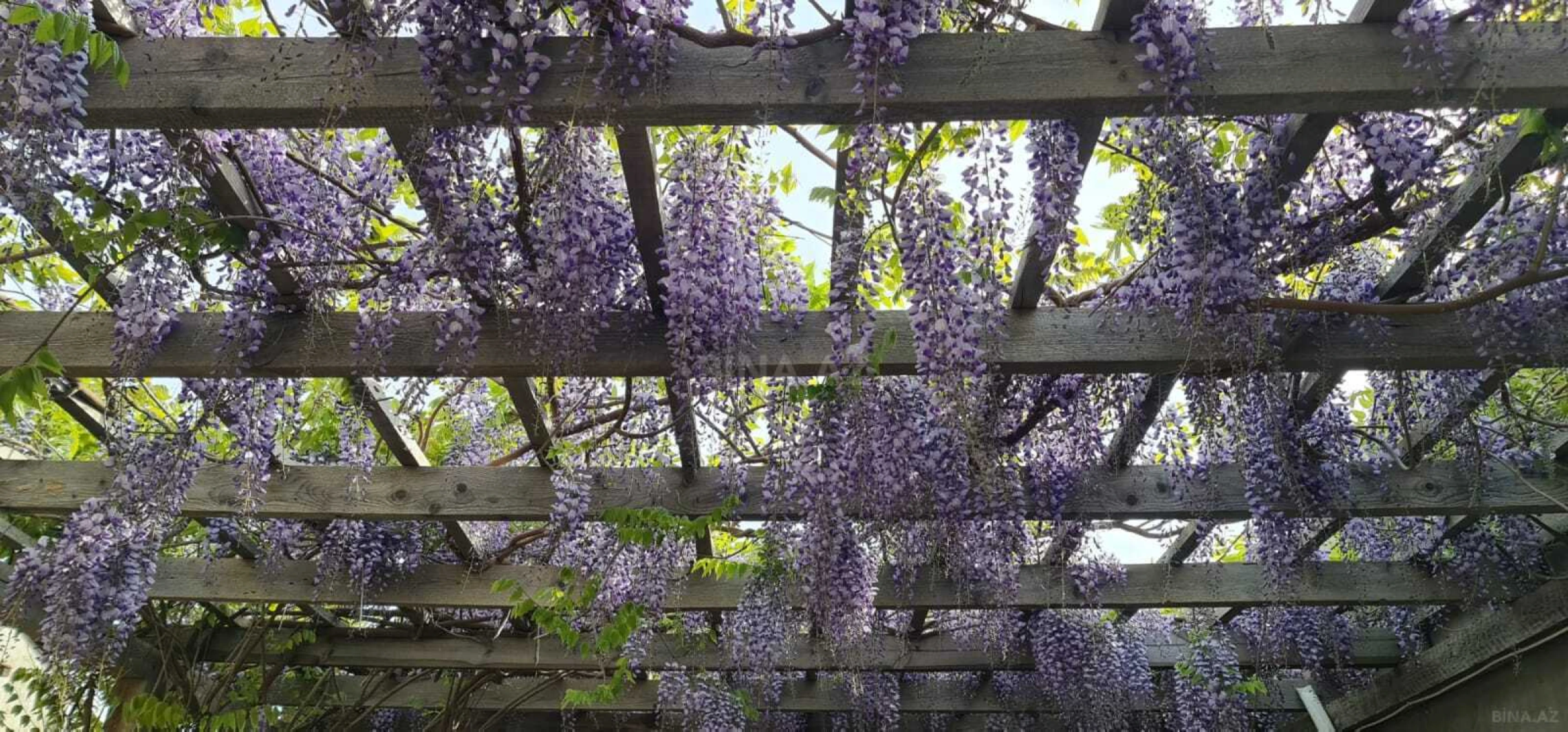 Satılır 5 otaqlı həyət evi 226 m²