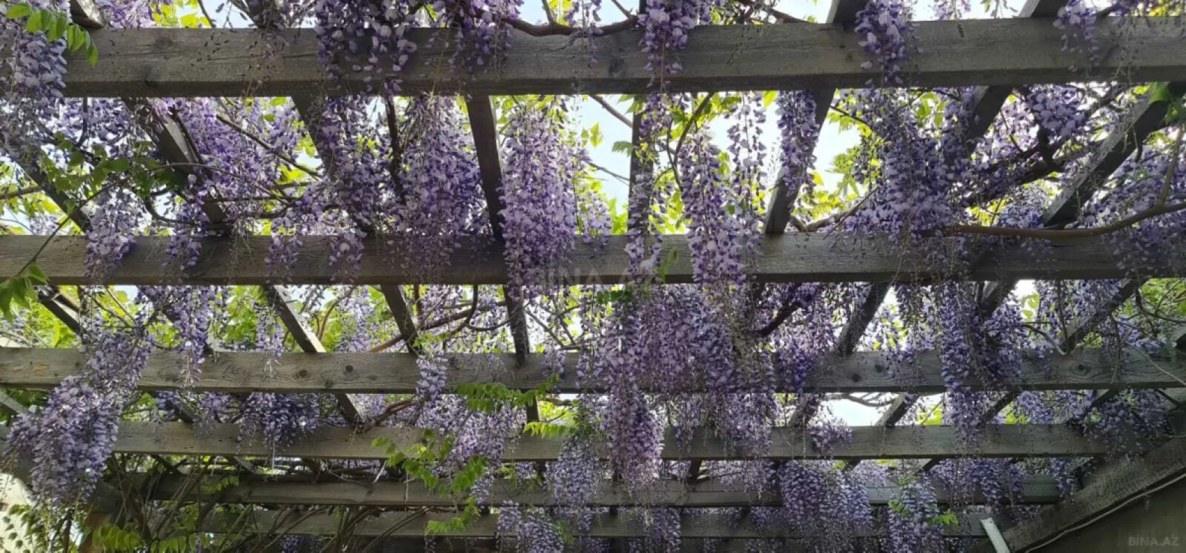 Satılır 5 otaqlı həyət evi 226 m²