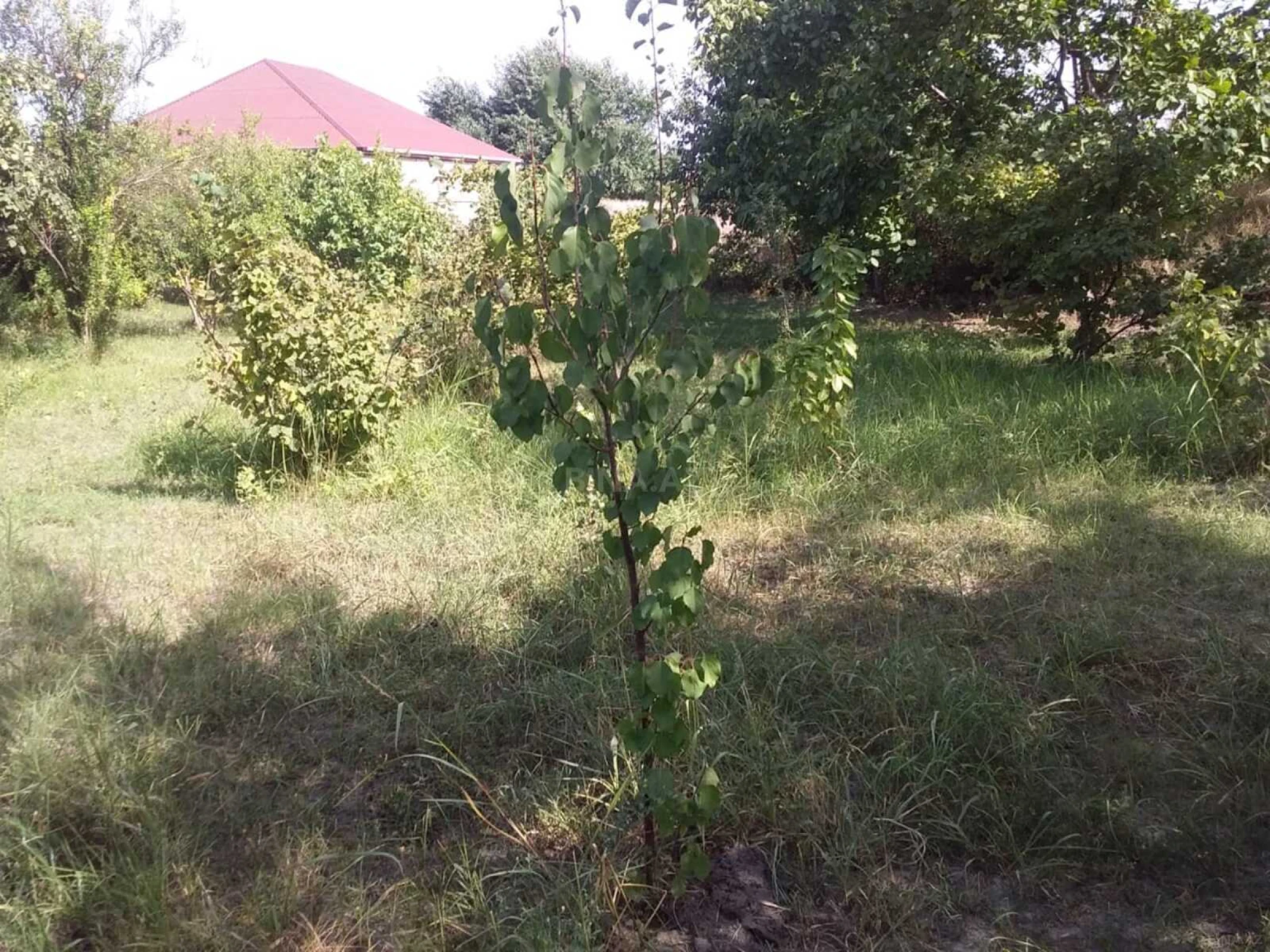 Satılır torpaq sahəsi 20 m²