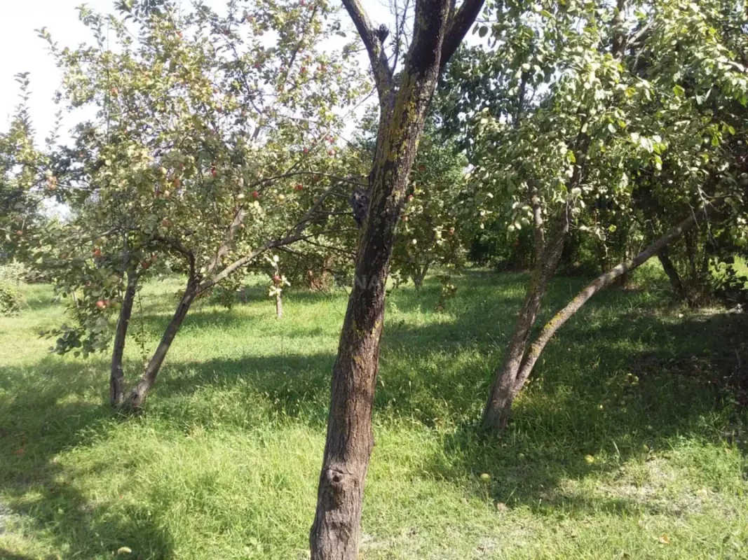 Satılır torpaq sahəsi 20 m²