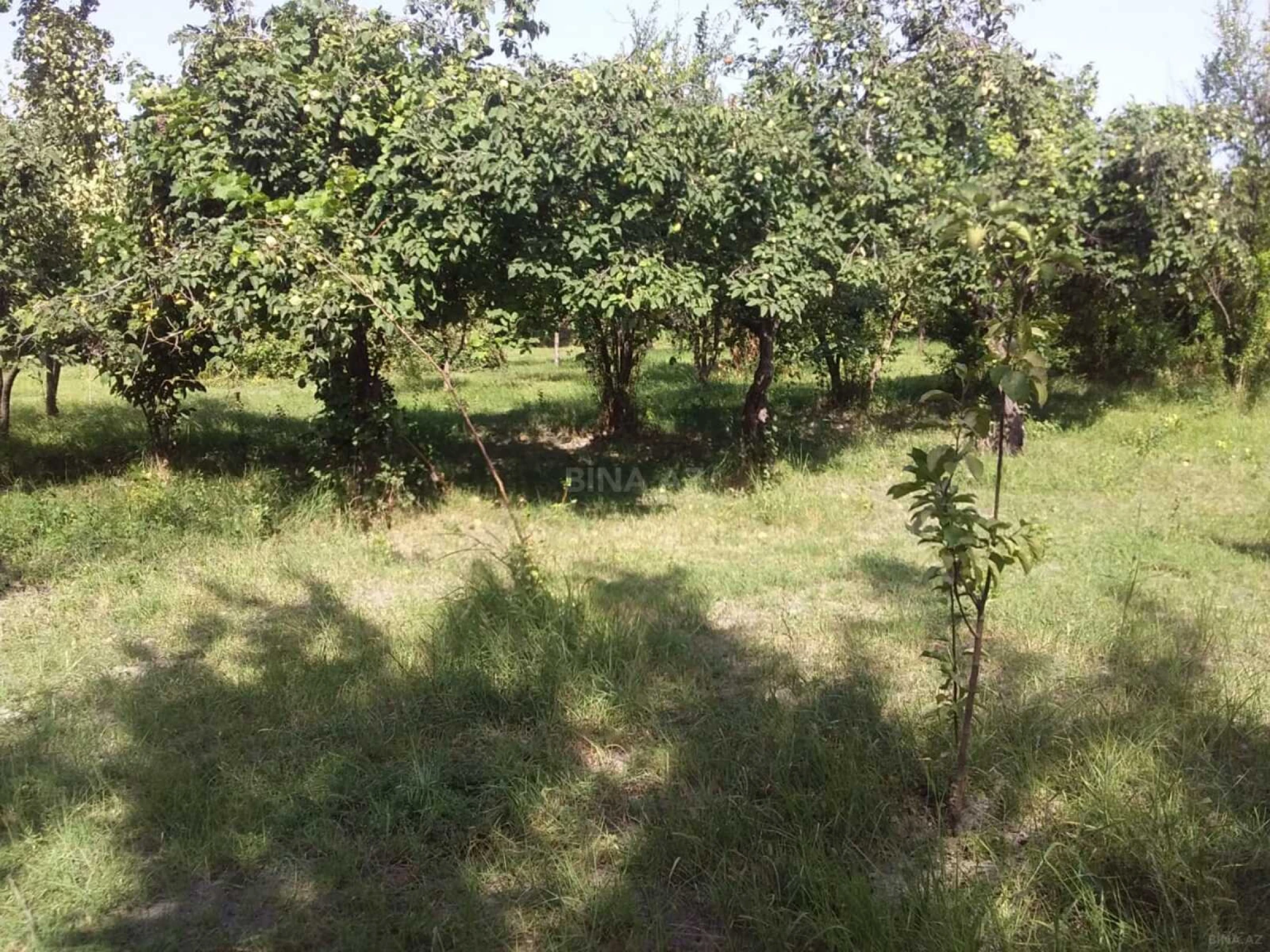 Satılır torpaq sahəsi 20 m²