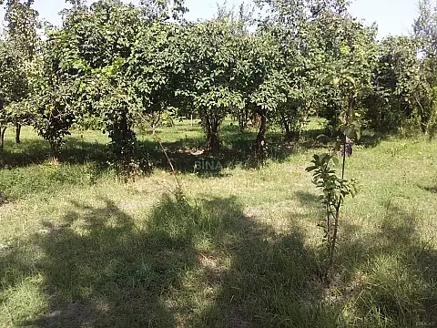 Satılır torpaq sahəsi 20 m²