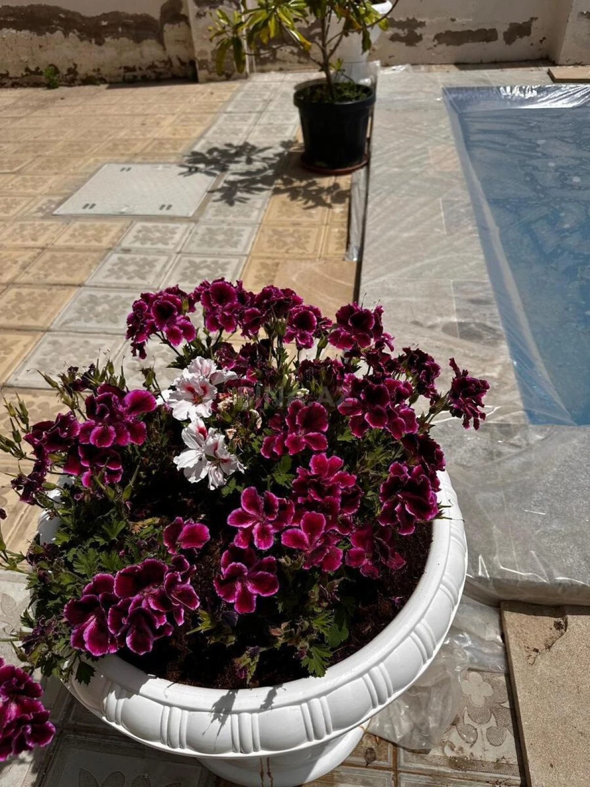 Kirayə verilir 6 otaqlı həyət evi 250 m²