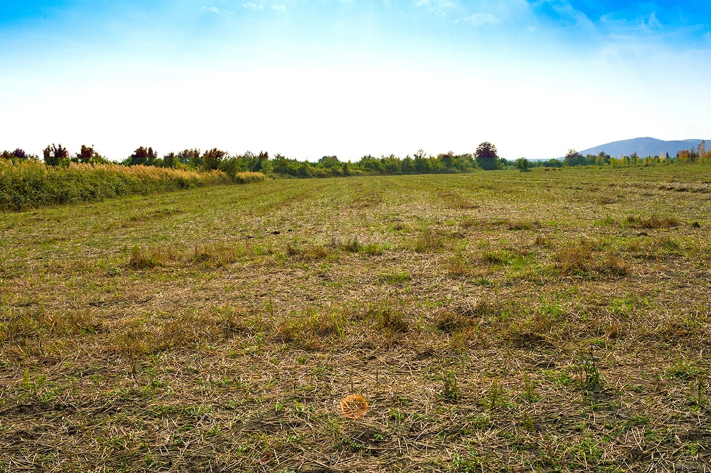 Satılır torpaq sahəsi 240 m²