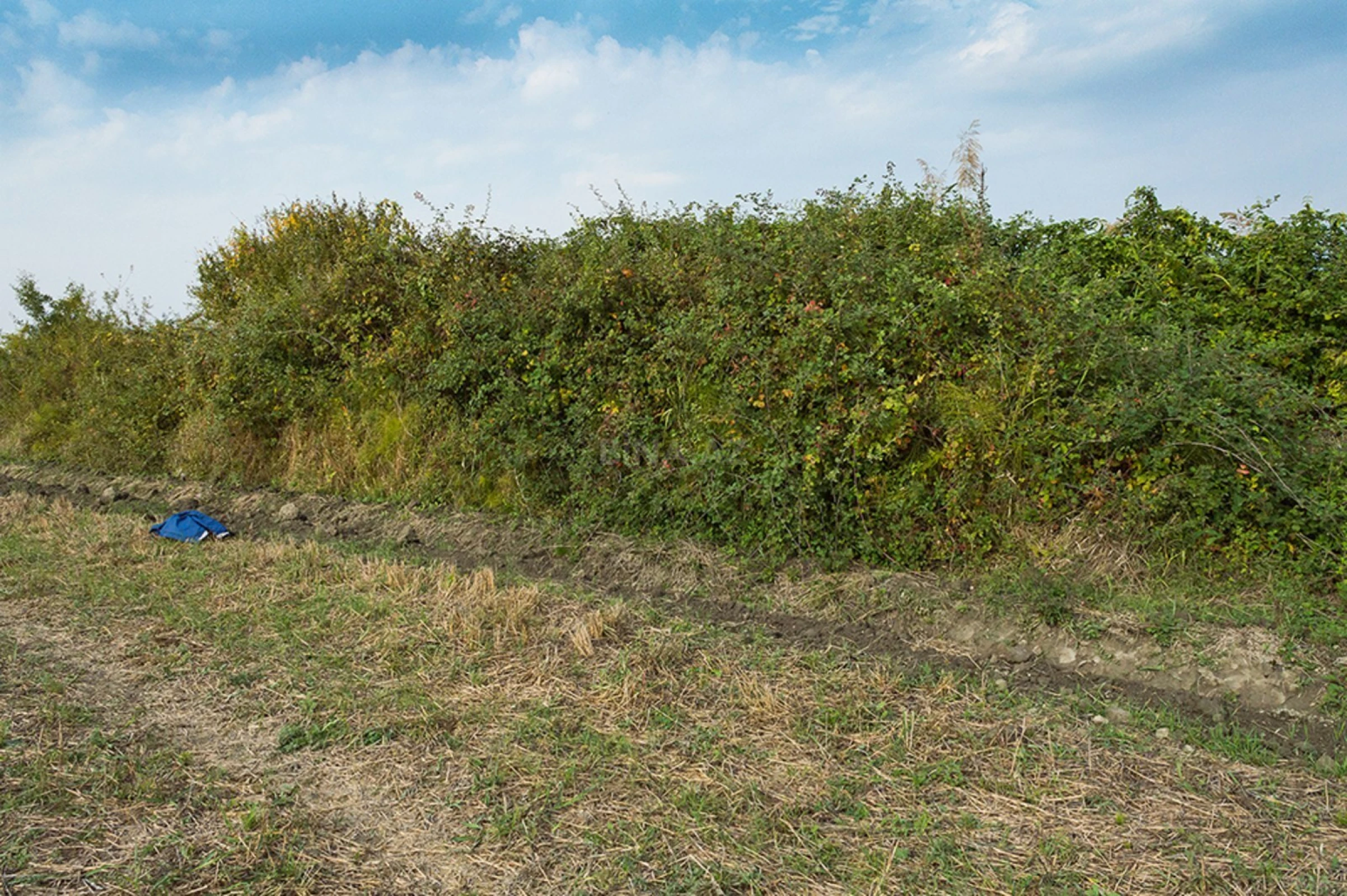 Satılır torpaq sahəsi 240 m²