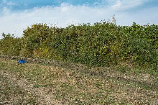 Satılır torpaq sahəsi 240 m²