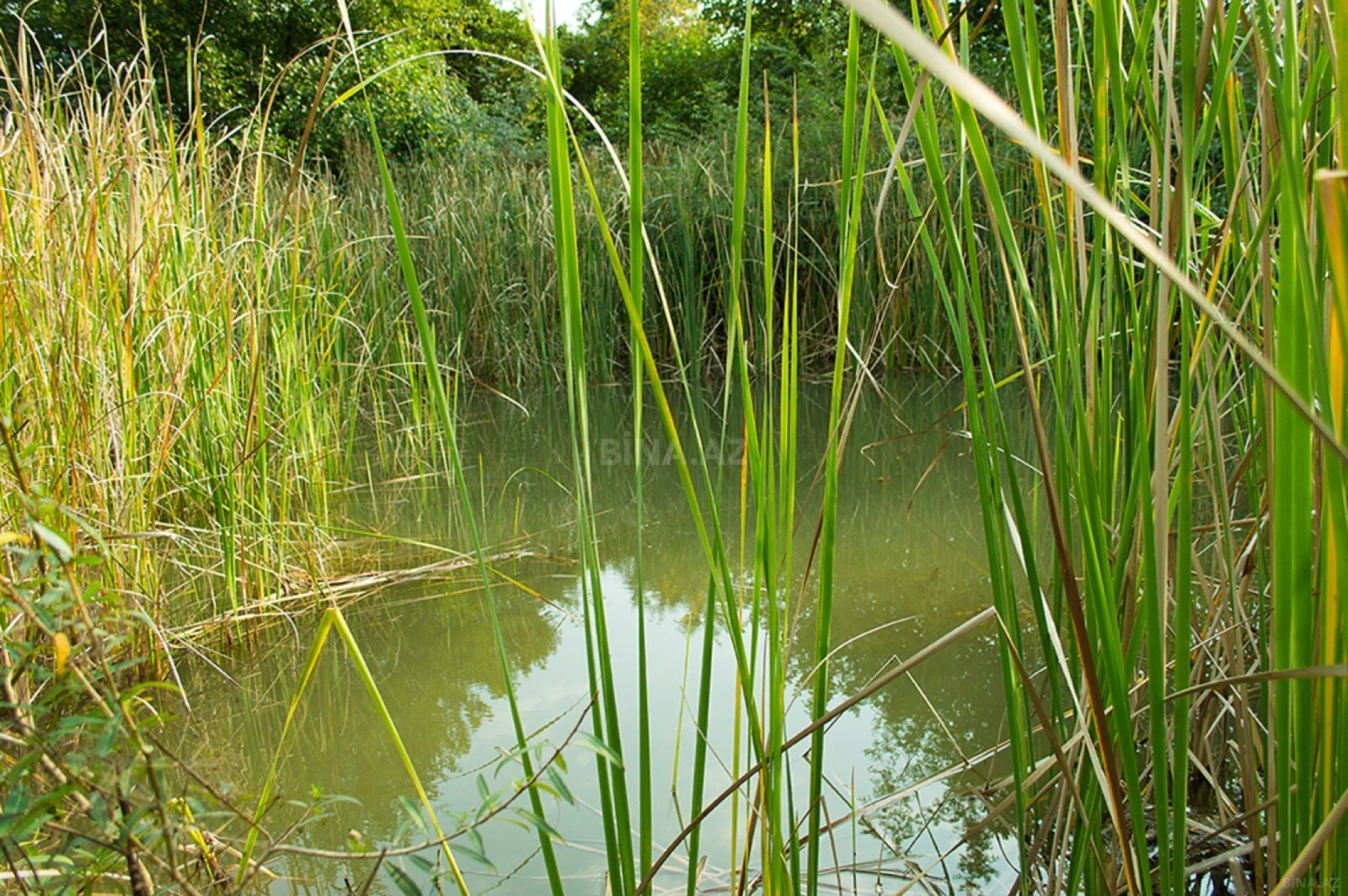 Satılır torpaq sahəsi 240 m²