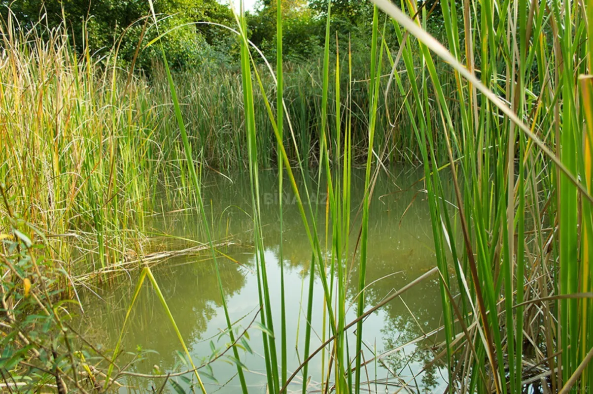 Satılır torpaq sahəsi 240 m²