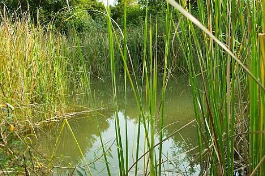 Satılır torpaq sahəsi 240 m²