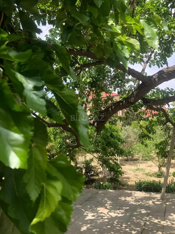 Kirayə verilir 6 otaqlı həyət evi 220 m²