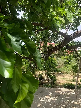 Kirayə verilir 6 otaqlı həyət evi 220 m²