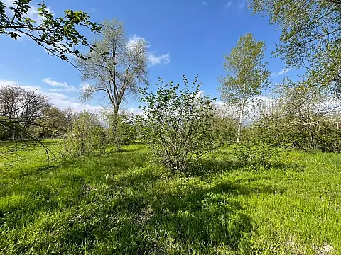 Satılır torpaq sahəsi 15 m²