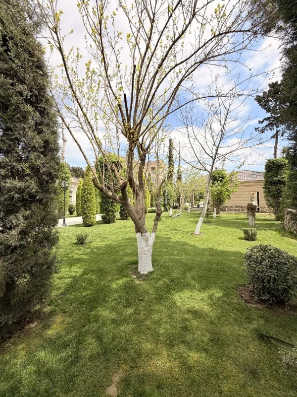 Satılır 10 otaqlı həyət evi 1300 m²