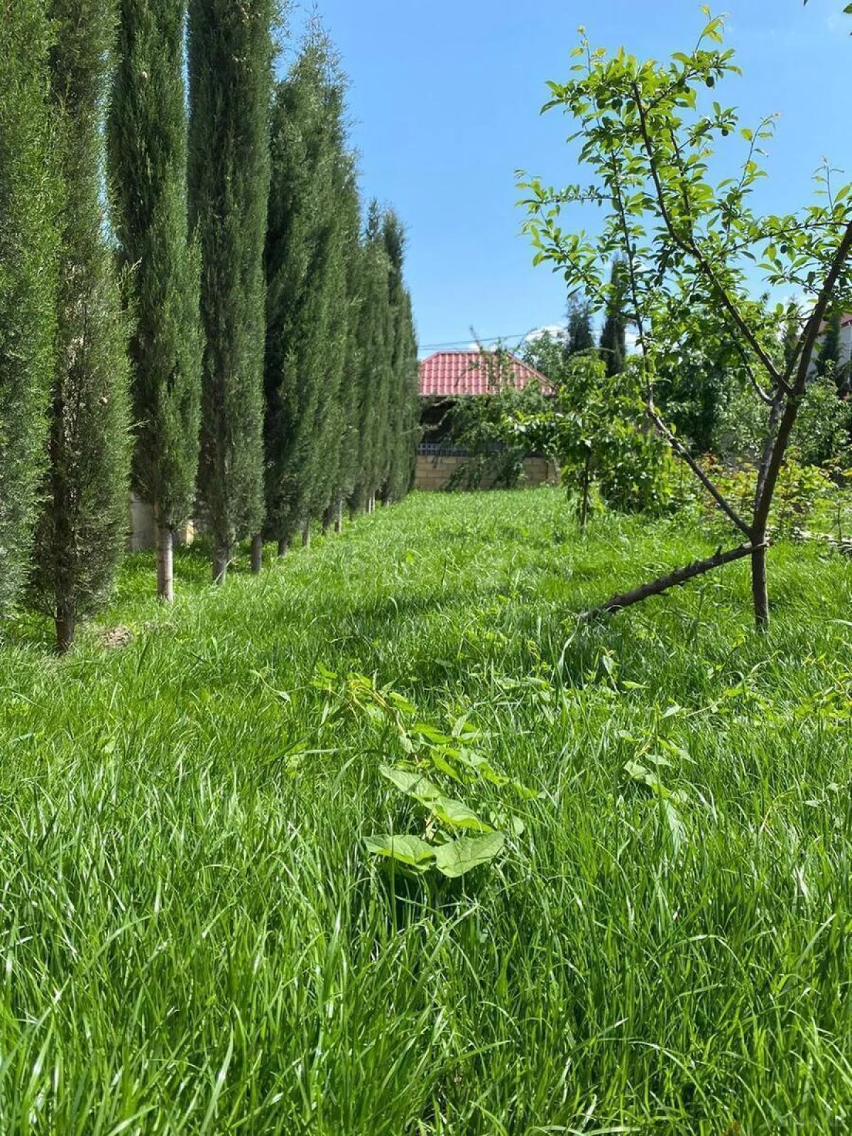 Satılır 6 otaqlı həyət evi 480 m²