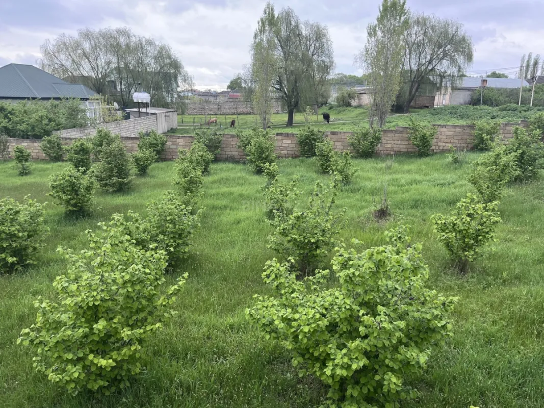 Satılır torpaq sahəsi 4 m²