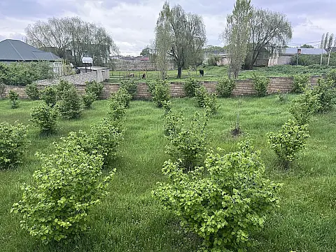 Satılır torpaq sahəsi 4 m²