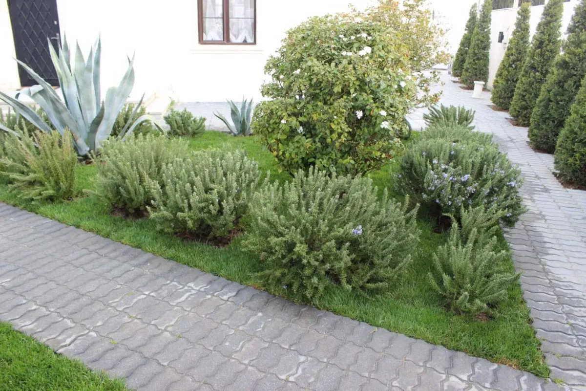 Satılır 4 otaqlı həyət evi 161 m²