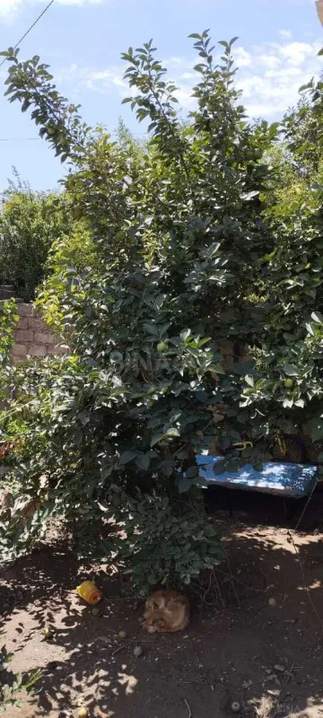 Satılır torpaq sahəsi 7.5 m²