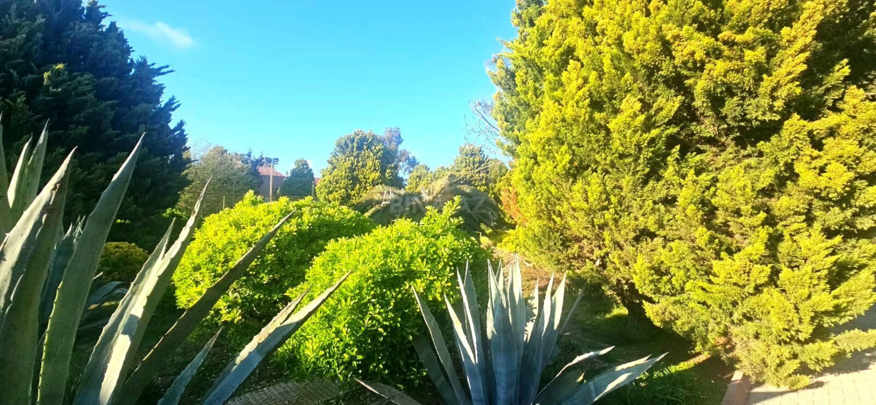 Satılır torpaq sahəsi 50 m²