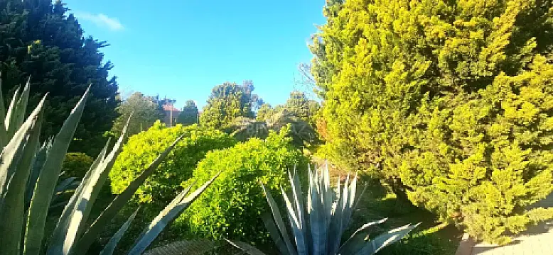 Satılır torpaq sahəsi 50 m²