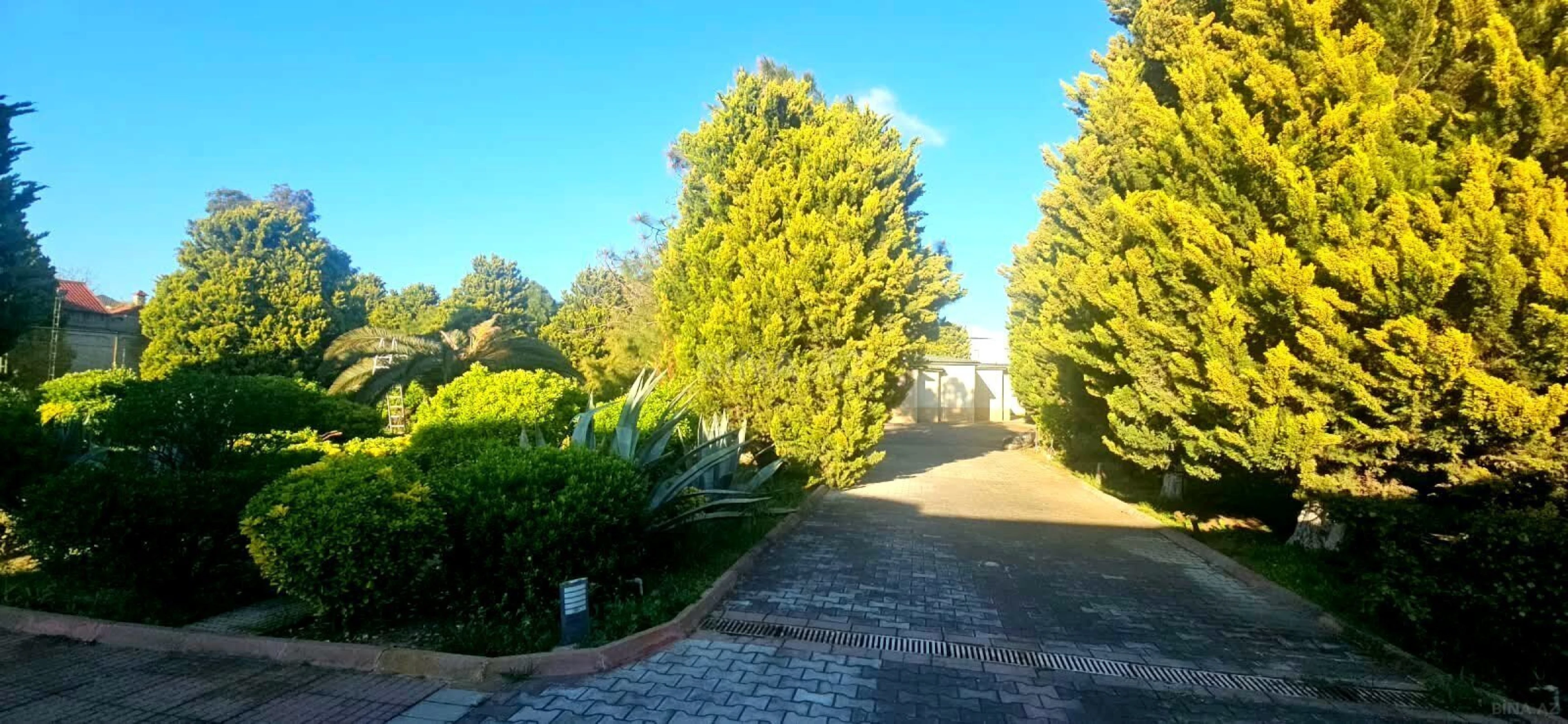 Satılır torpaq sahəsi 50 m²