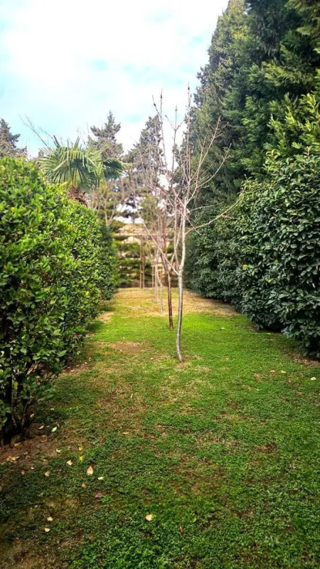 Satılır torpaq sahəsi 50 m²