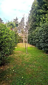 Satılır torpaq sahəsi 50 m²