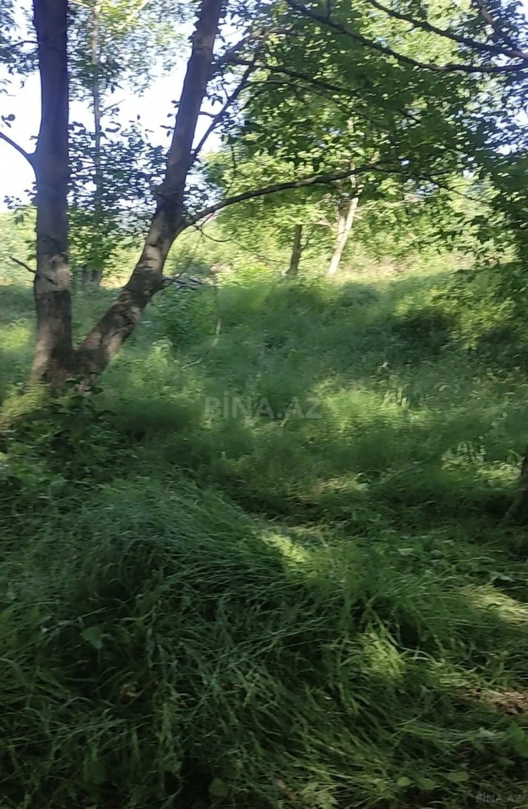 Satılır torpaq sahəsi 9 m²