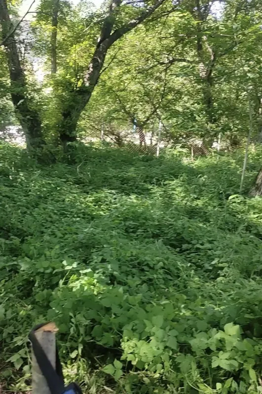 Satılır torpaq sahəsi 9 m²