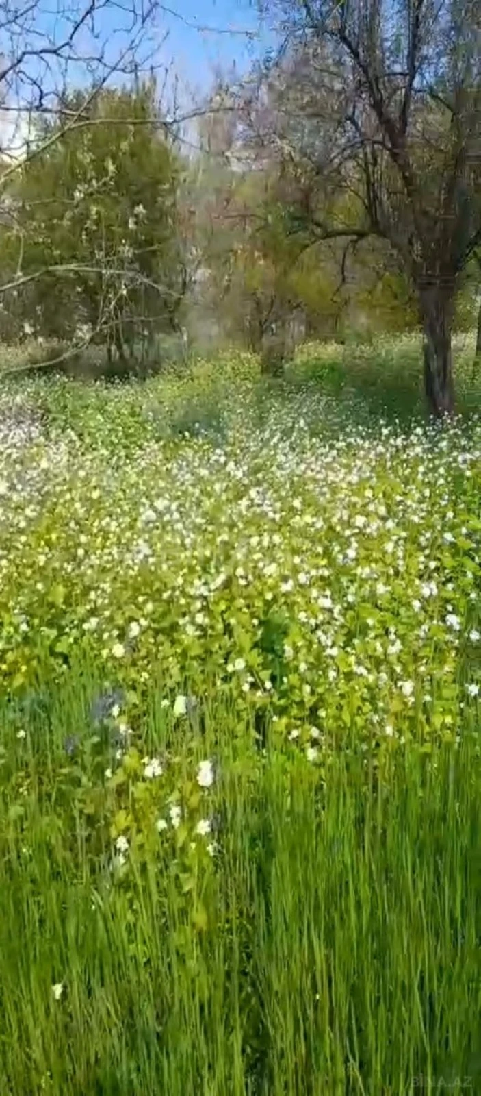 Satılır torpaq sahəsi 29 m²