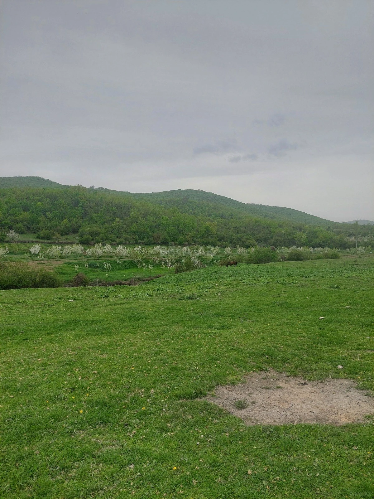 Satılır torpaq sahəsi 31.5 m²