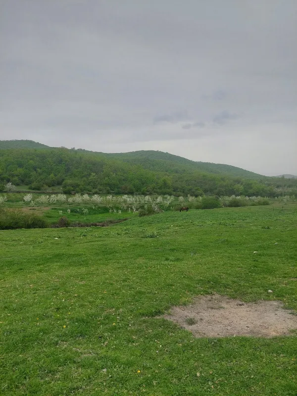 Satılır torpaq sahəsi 31.5 m²