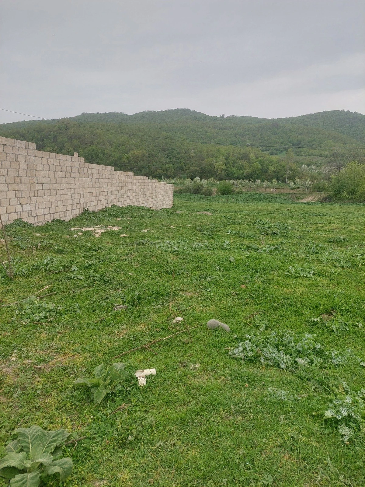 Satılır torpaq sahəsi 31.5 m²