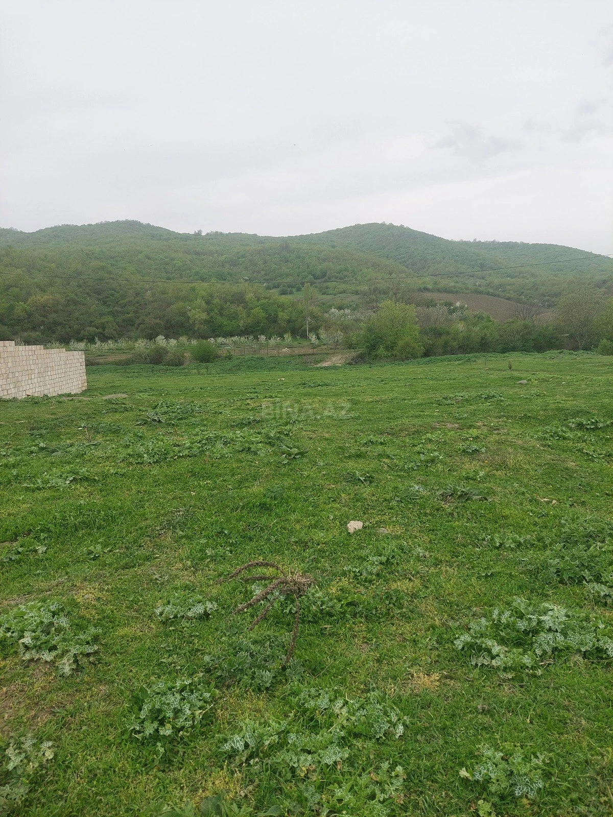 Satılır torpaq sahəsi 31.5 m²