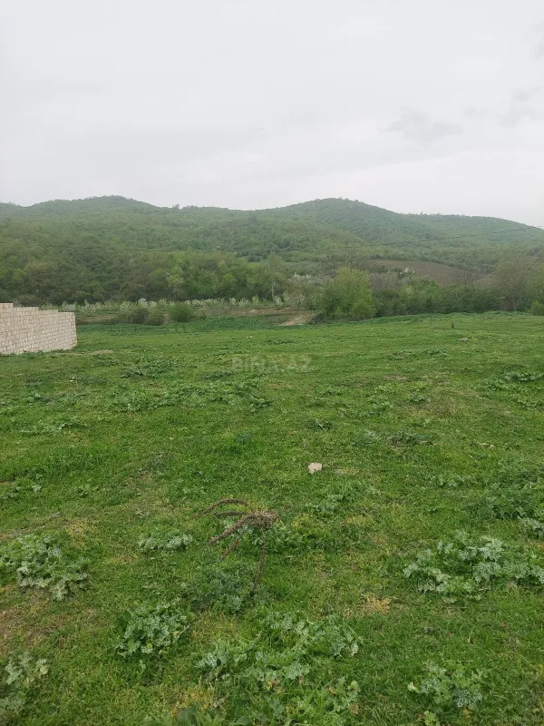 Satılır torpaq sahəsi 31.5 m²