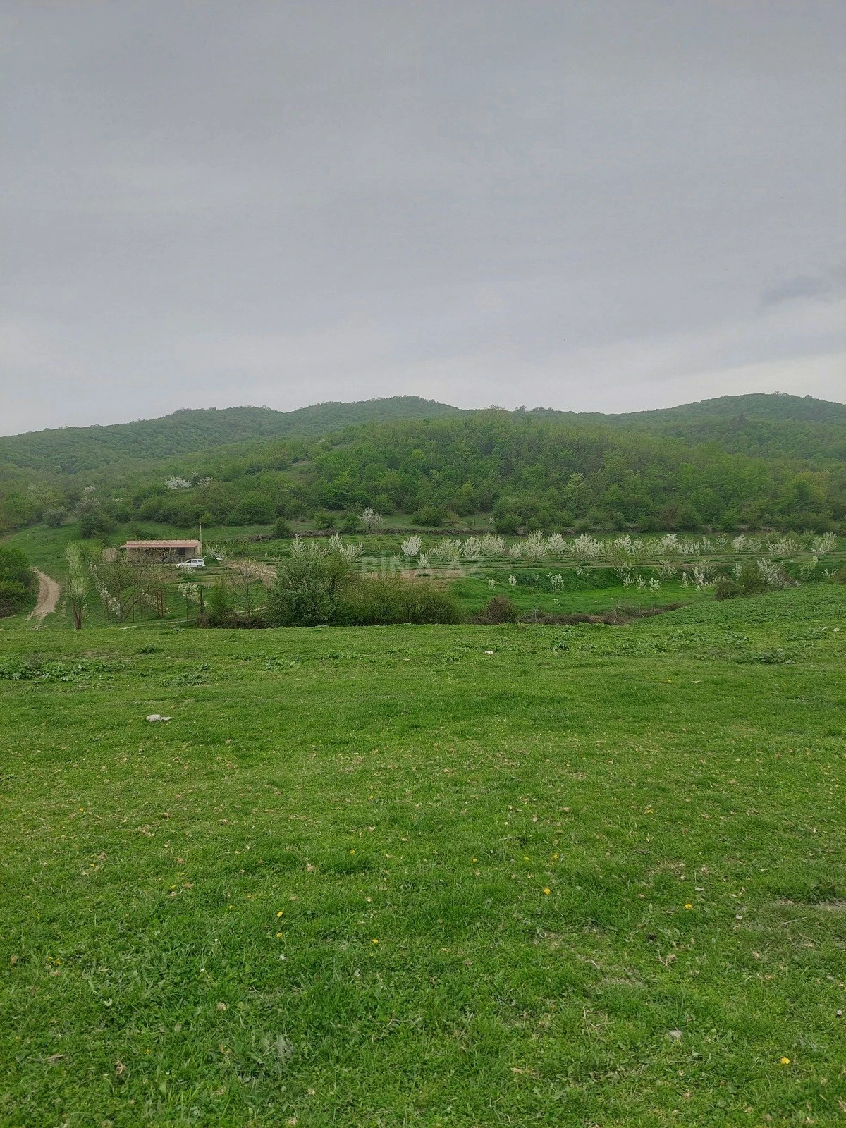 Satılır torpaq sahəsi 31.5 m²